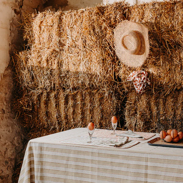 set de table jaipur6